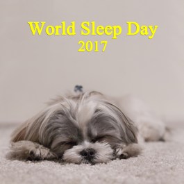 World-Sleep-Day